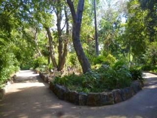 Garden Path