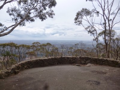 Major Mitchell Looking - Mount Macedon