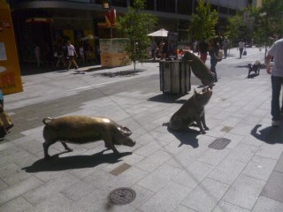 The Malls Pigs