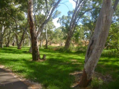 Dead Man's Pass Reserve