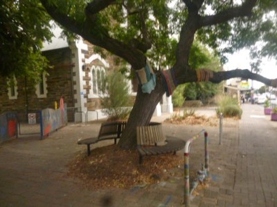 Goodwood Village Tree