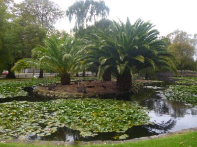 Garden Pond