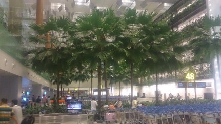 Trees in the Baggage Hall