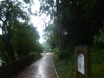 Fort Canning Park Path