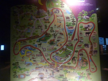 Night Safari Map