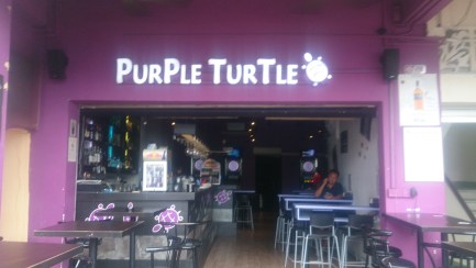 The Purple Turtle