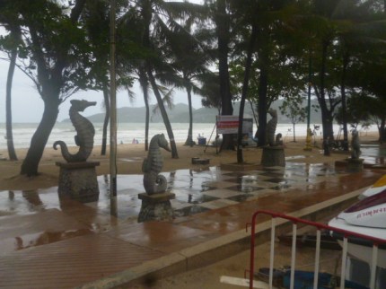 Patong Seahorses
