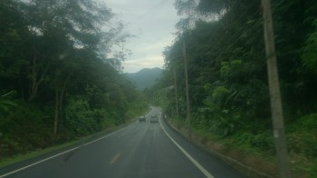 Bus Drive in Jungle 02