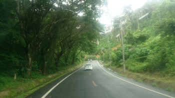 Bus Drive in Jungle 01