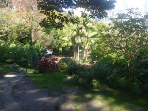 (pic - Story) Balls Head - Secret Garden 02