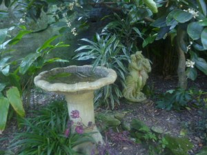 Wendy's Secret Garden