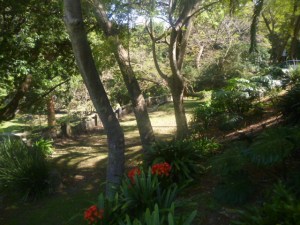 (pic - Story) Balls Head - Watt Park 04