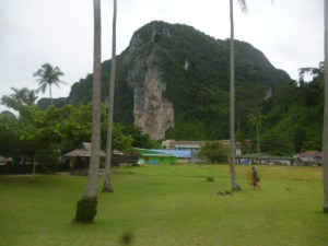 Ko Phi Phi Don Paddock
