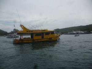 Boats in the harbour