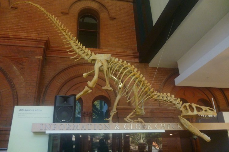 (pic - Story) SA Museum - Dinosaur