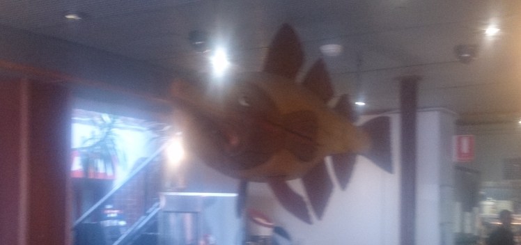 (pic - Story) Brighton SA - Wooden Fish