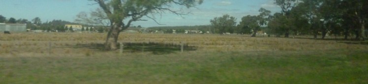 (pic - Story) Whittlesea - Old Rail Track