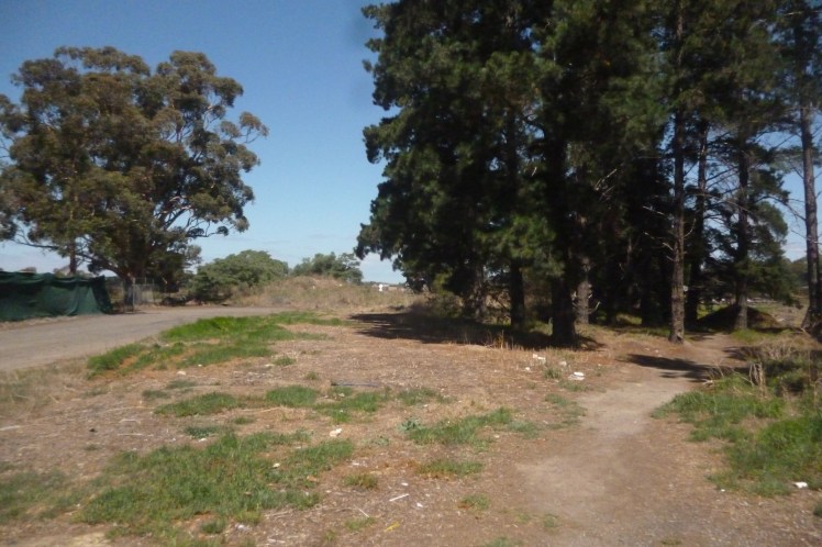 (pic - Story) Whittlesea - Railway Reserve