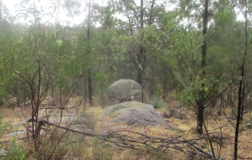 (pic - Story) Para Wirra - Lizard Rock