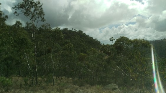 (pic - Story) Para Wirra - The Knob 02