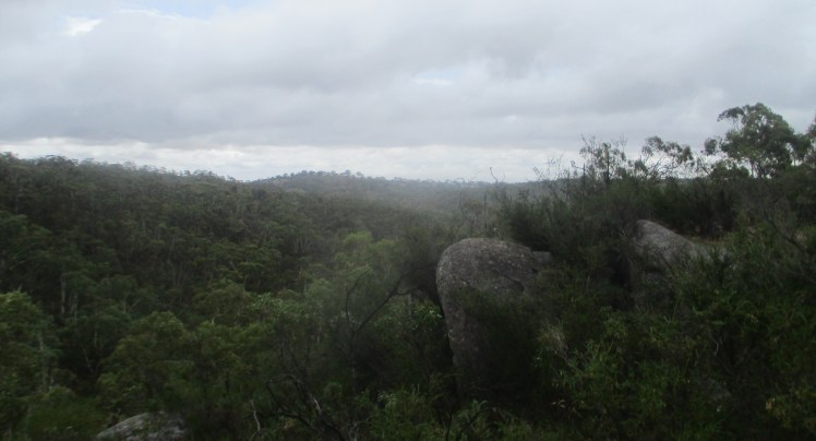 (pic - Story) Para Wirra - Wilderness