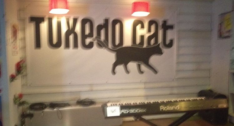 (pic - Story) Comedy Festival - Tuxedo Cat