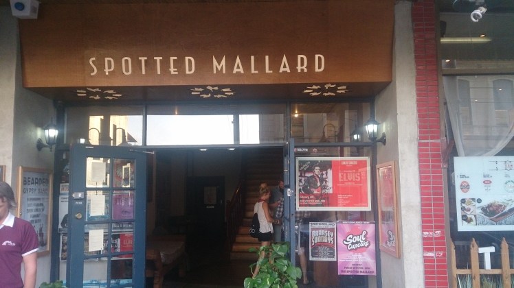 (pic - Story) Good Beer Week 2 - Spotted Mallard