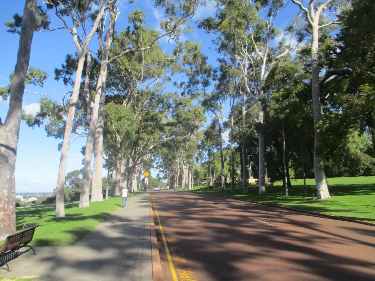 (pic - Perth) Kings Park - The Avenue
