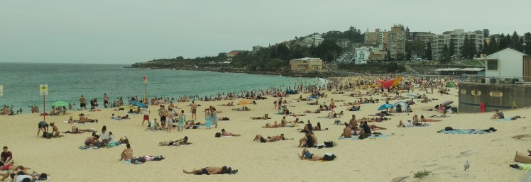 (pic - Story) Coogee - Title