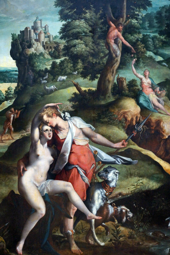 (pic - story) rijksmuseum 4 - venus & adonis